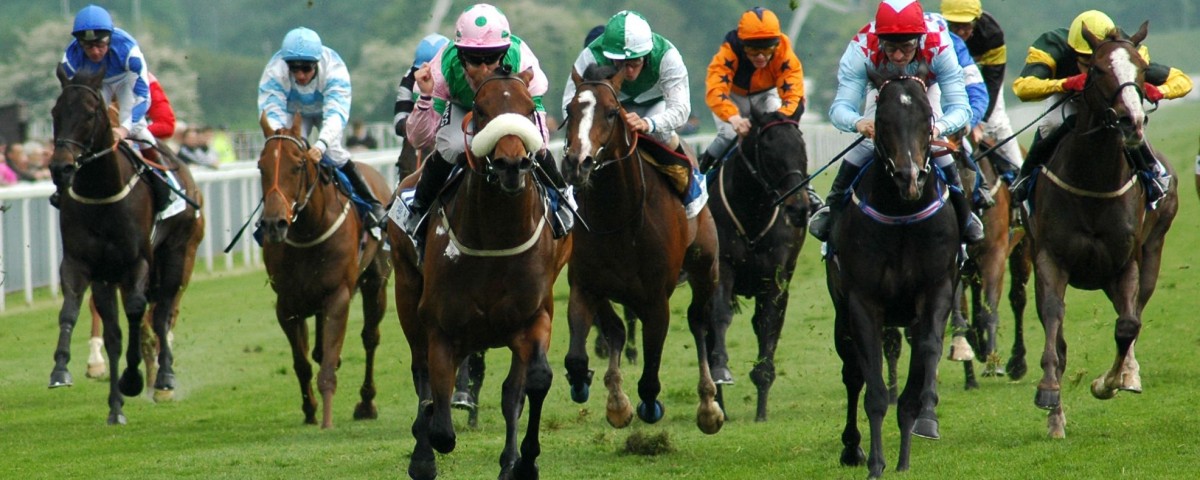 Corrida de Cavalos - Turfe