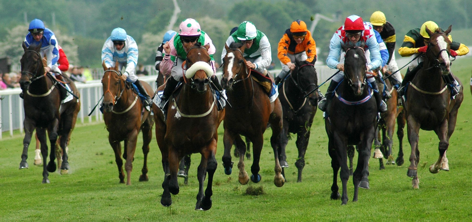 Corrida de Cavalos - Turfe