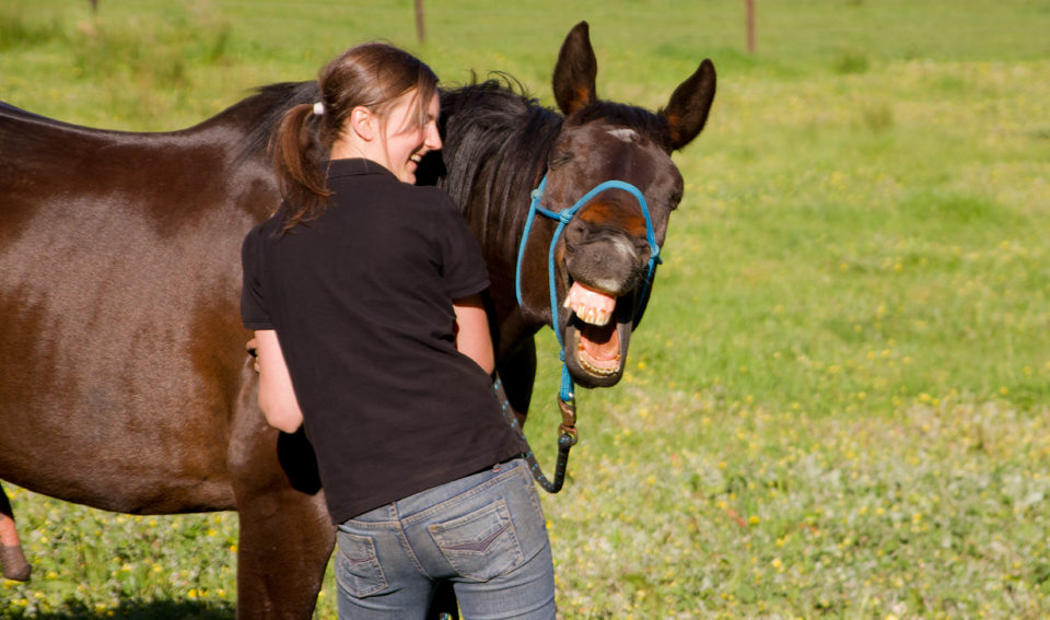 Jogos de CAVALO em COQUINHOS