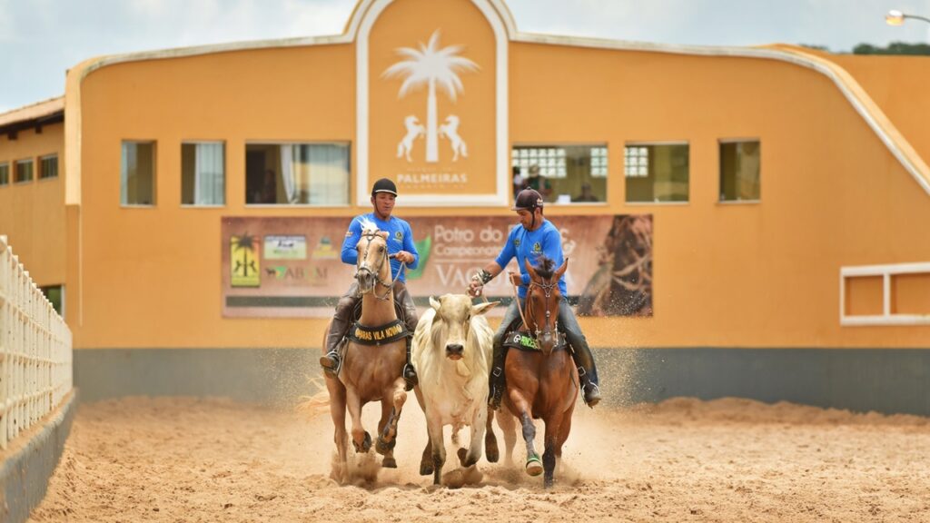Vaquejada Um Esporte Tradicional Do Nordeste vaquejada-um-esporte-tradicional-do-nordeste